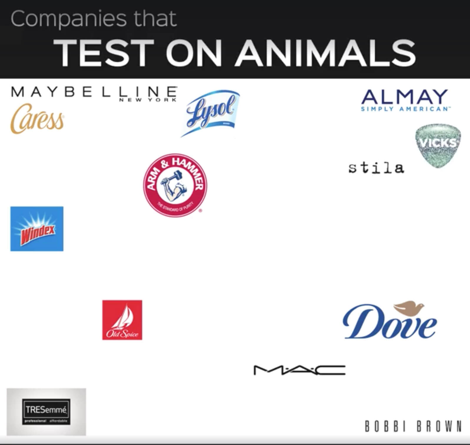 Companies That Test On Animals Vegandemy