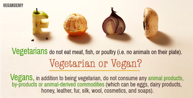 Vegetarians Vs Vegans - Vegandemy
